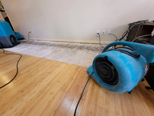 Professional Basement Flood Cleanup technician working in Port Jefferson, NY